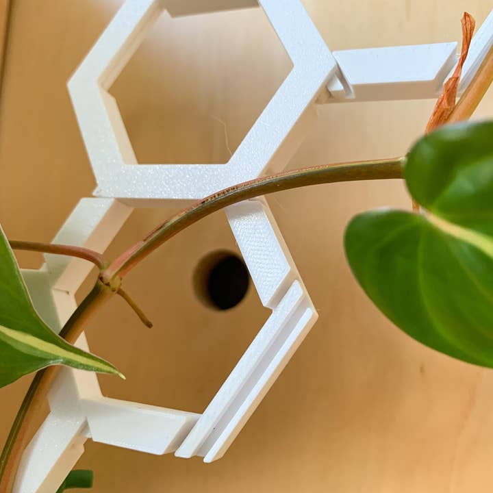 Steel Silk LLC - Wholesale Trellis - 3D Printed Modular Hexagon Indoor Plant Trellis - White