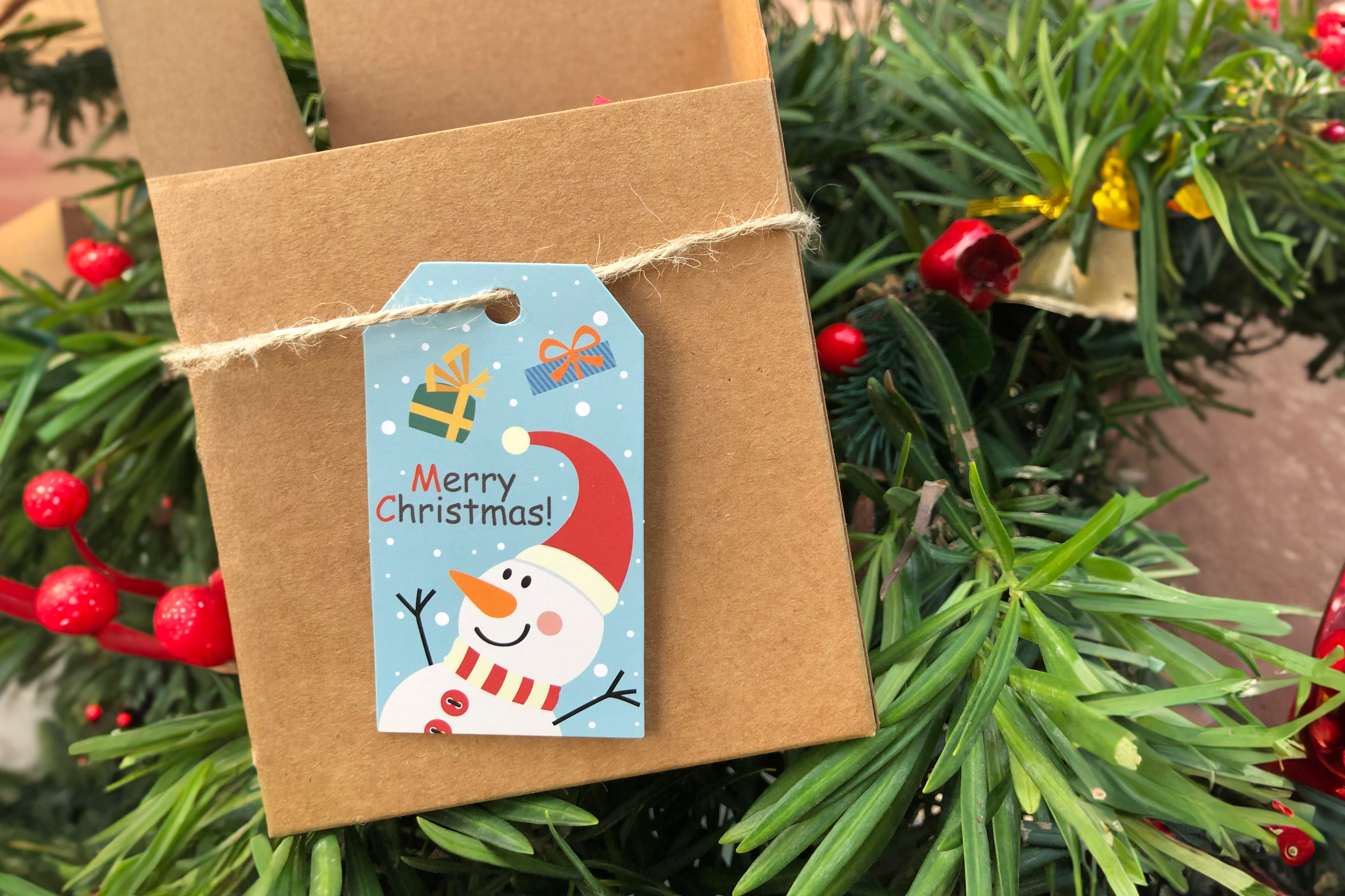 Plantish - Wholesale Gift Tag Label - Frosty Blue Christmas Tag, Sticker | Christmas Card & Label11
