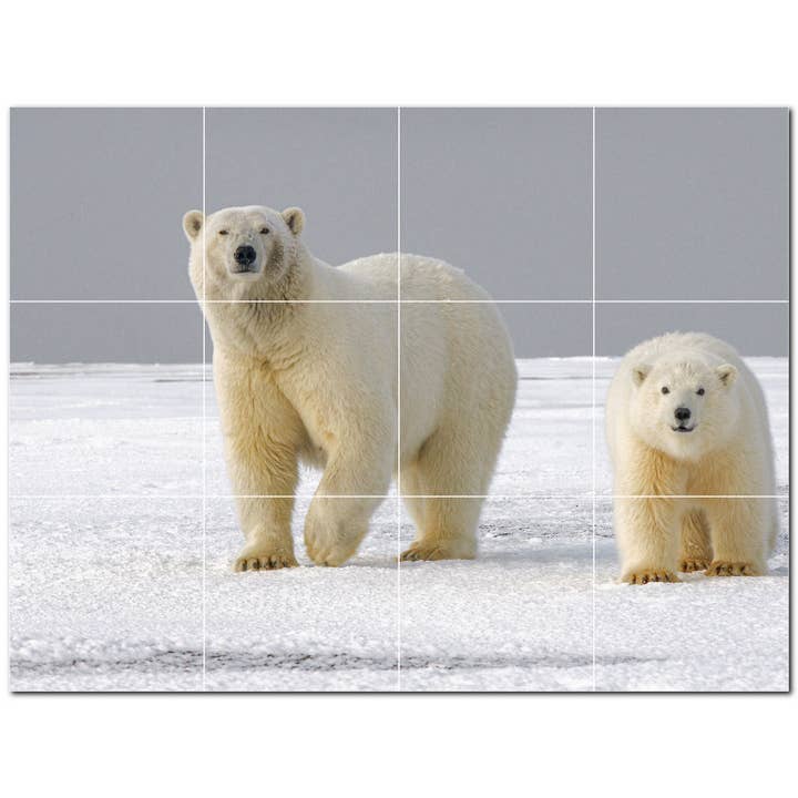 Peinture murale en céramique Bear Ceramic Tile PT500111 pour la vente par Picture-Tiles.com