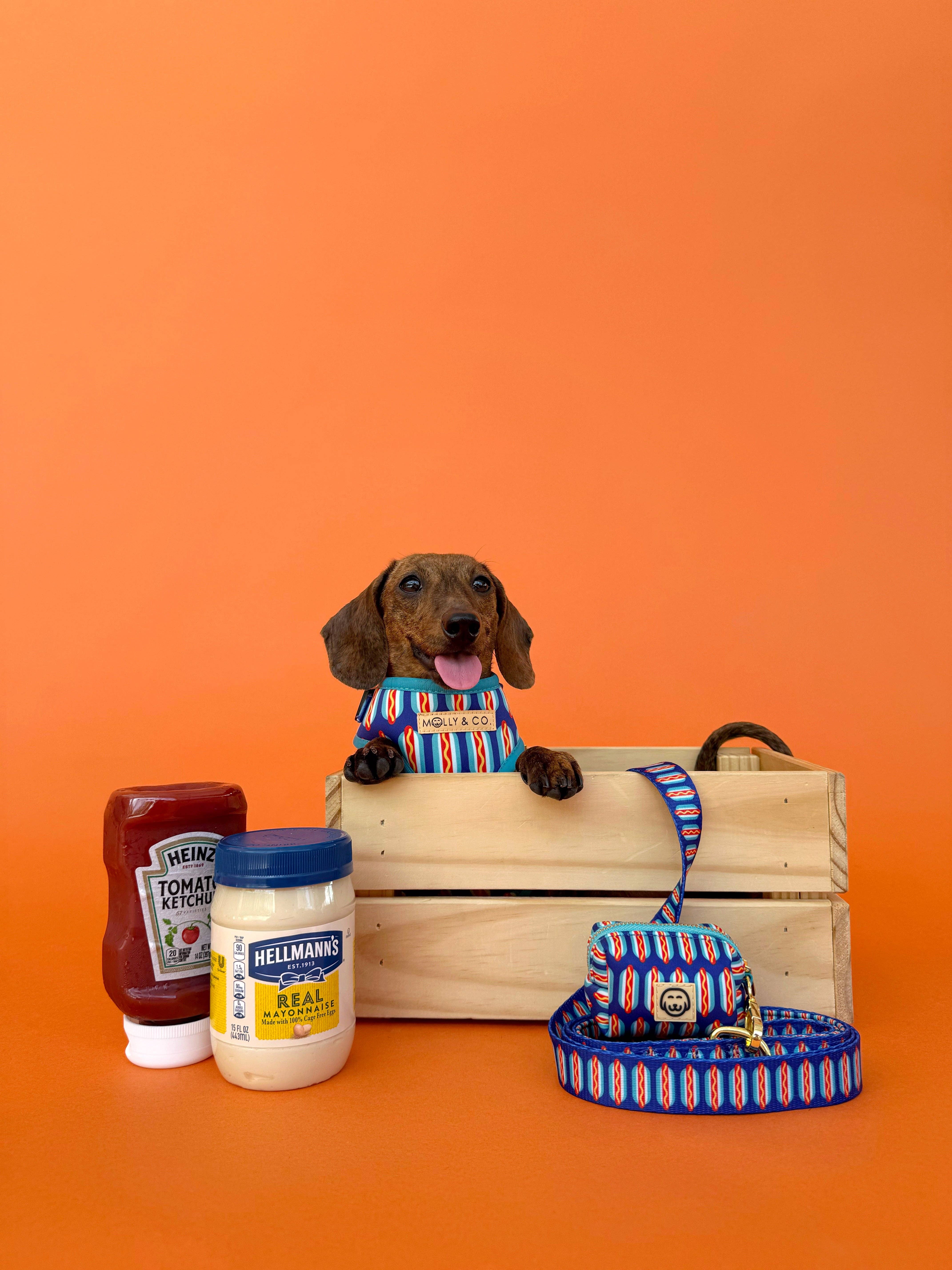 Molly & Co. - Vendita all'ingrosso Guinzaglio - Cani - Guinzaglio per cani - Wieners3