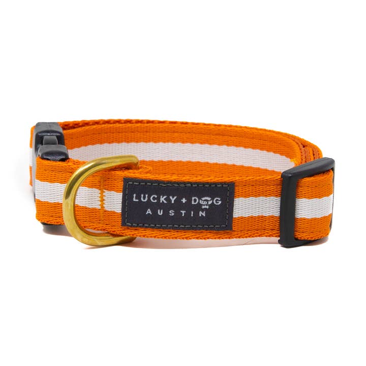Activewear - Orange Crush for wholesale by LUCKY + DOG