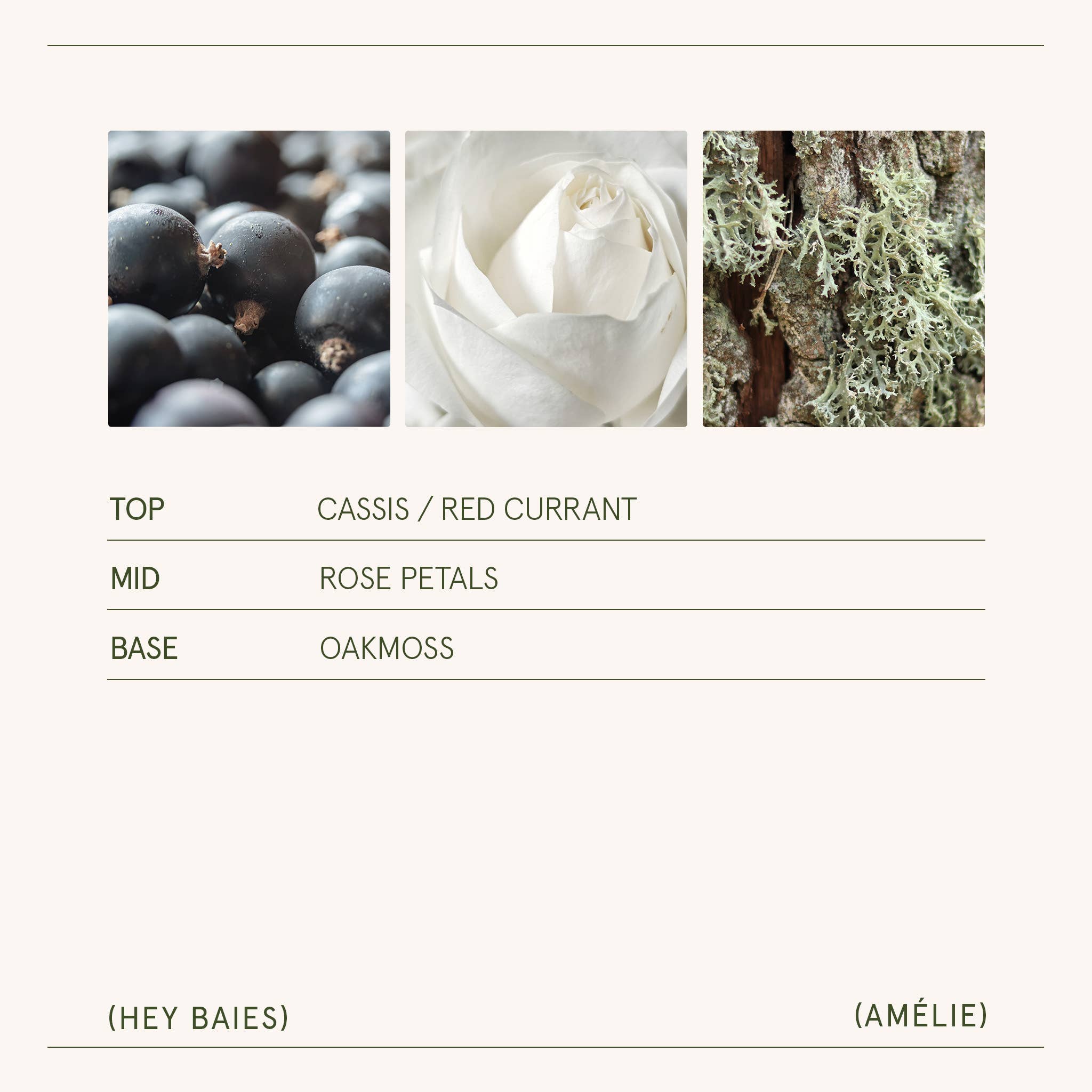 La Jolie Muse - Wholesale Jar/Filled Candle - Scented Candle - Hey Baies - 11oz | La Jolie Muse4