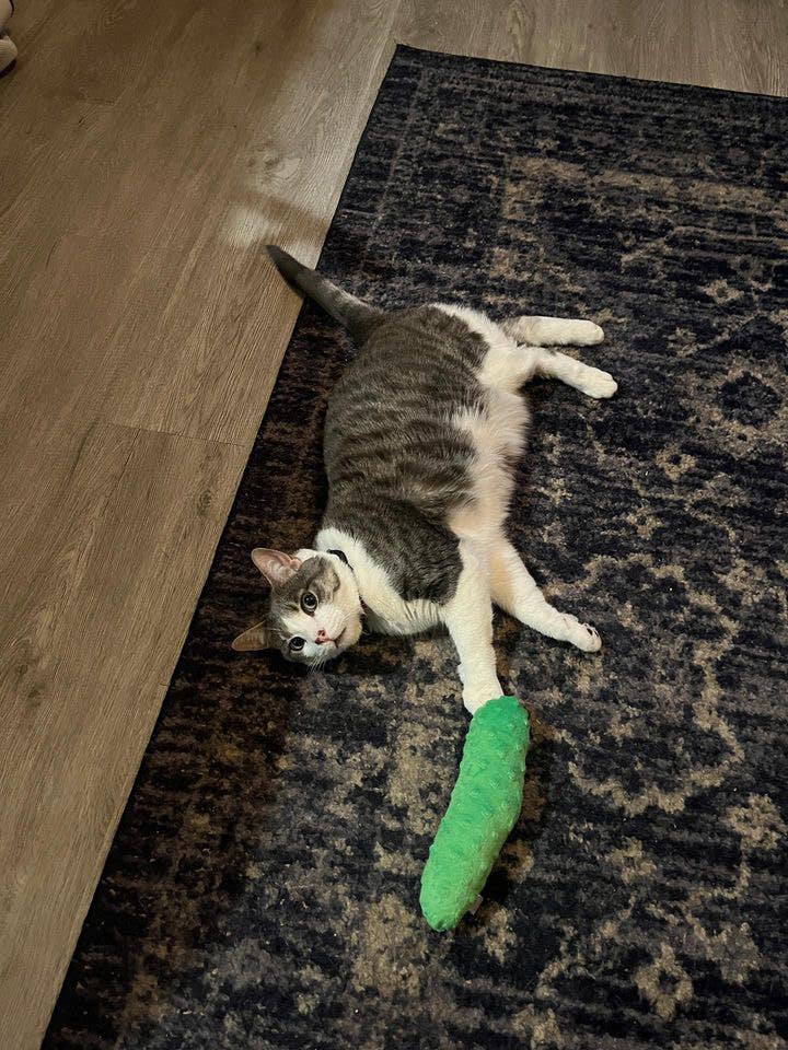 Screaming Pickles - Wholesale Pet Toy - Cat - Handmade Pet Toys - Catnip Kickers Double Stuffed Pickles6