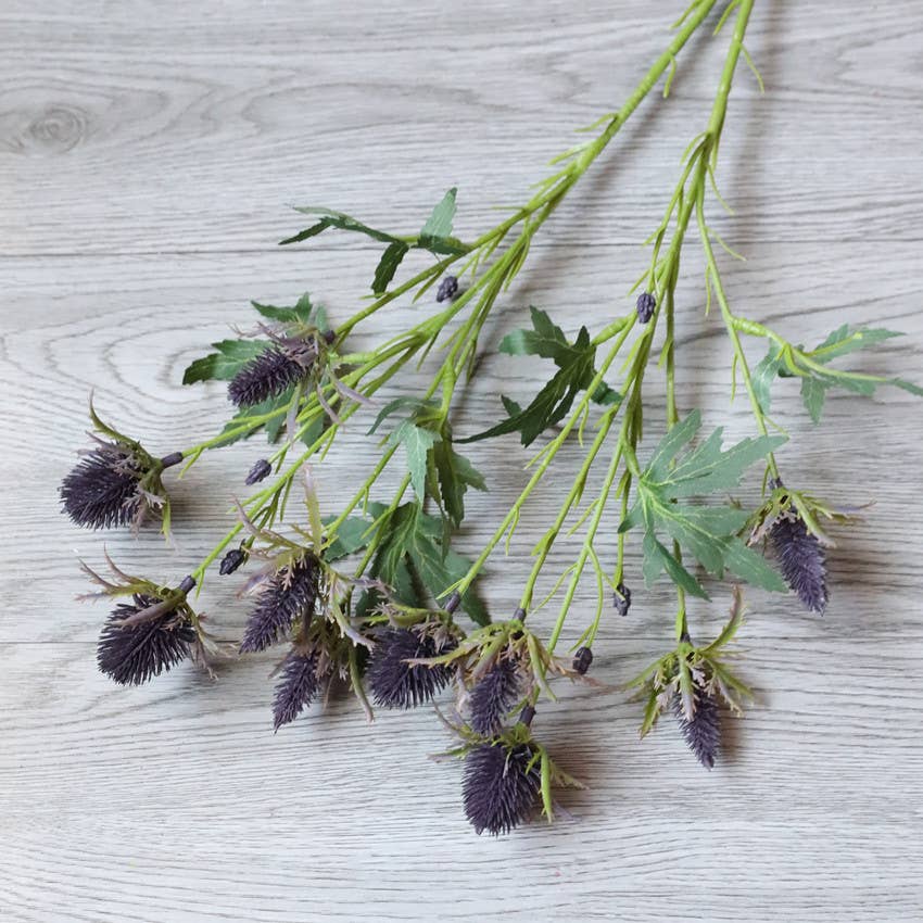 Angel Isabella - Wholesale Artificial Flowers - 26" Artificial Thistle Eryngium Sea Holly-10Flowers 0