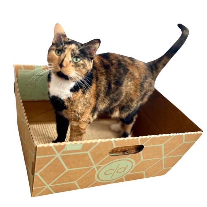 Cats Desire Litter Boxes - Wholesale Pet Scratcher - Cat - Cats Desire Cat House Sisal Scratcher Mat with Catnip3