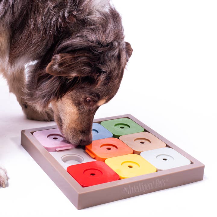 SUDOKU Medio Esperto Colore (Costruzione Interamente in Plastica) per la vendita all'ingrosso da parte di My Intelligent Dogs