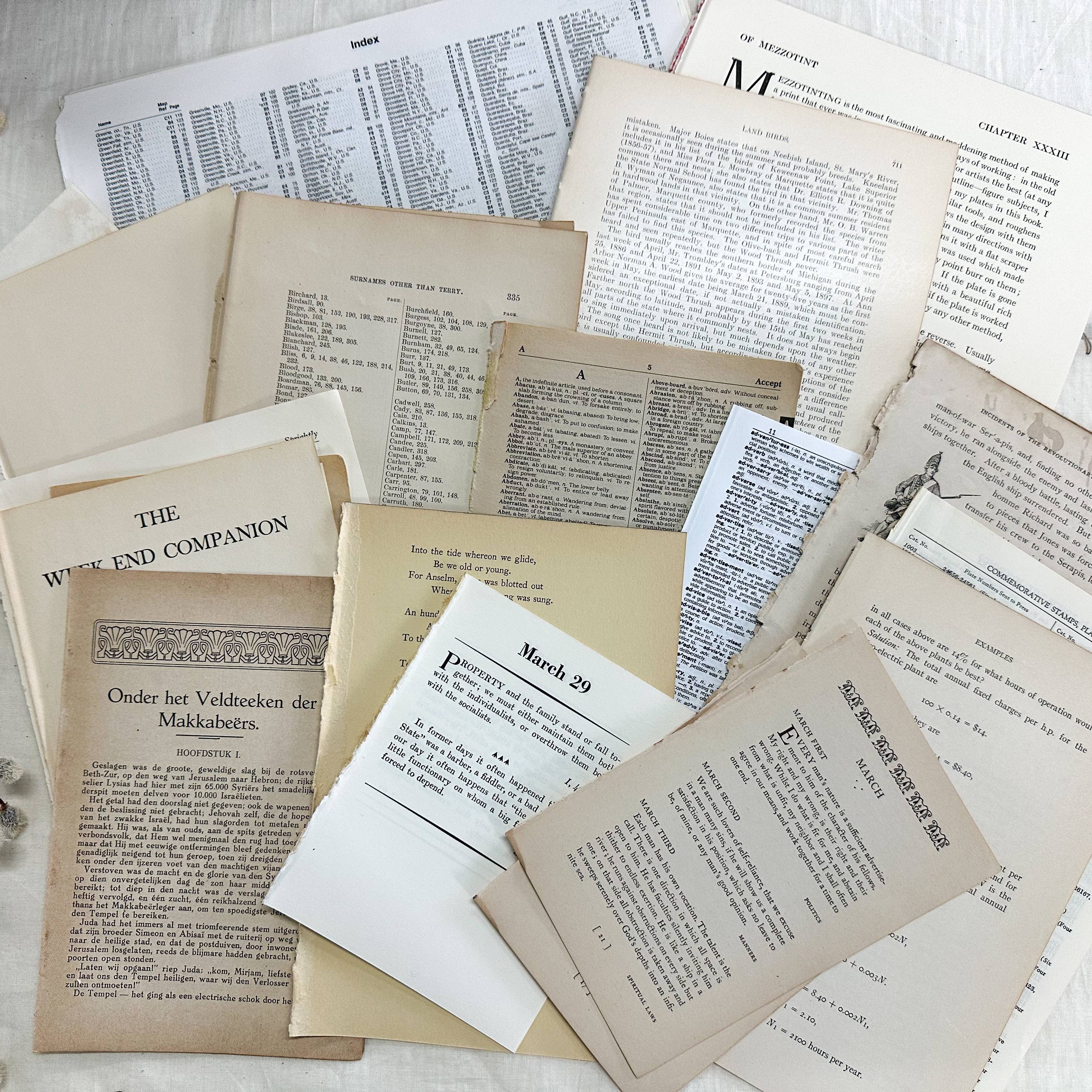 A House of Books - Wholesale Craft Supplies - Art Kit- Vintage Book Pages for Collage and Art1