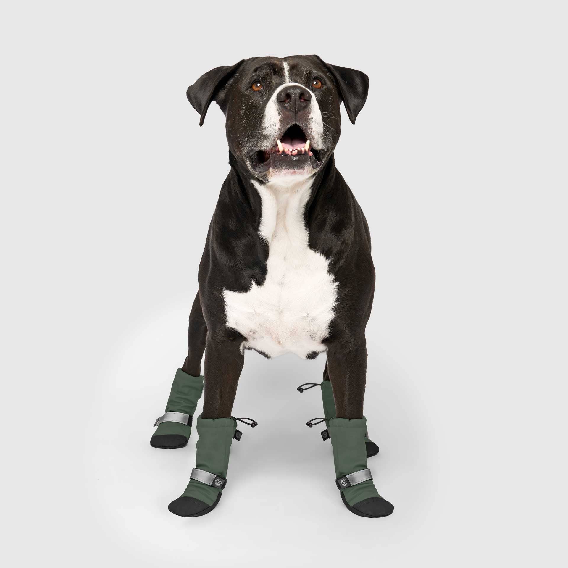 Canada Pooch - Wholesale Pet Boots - Dog - Soft Shield Boots- Dog Boots15
