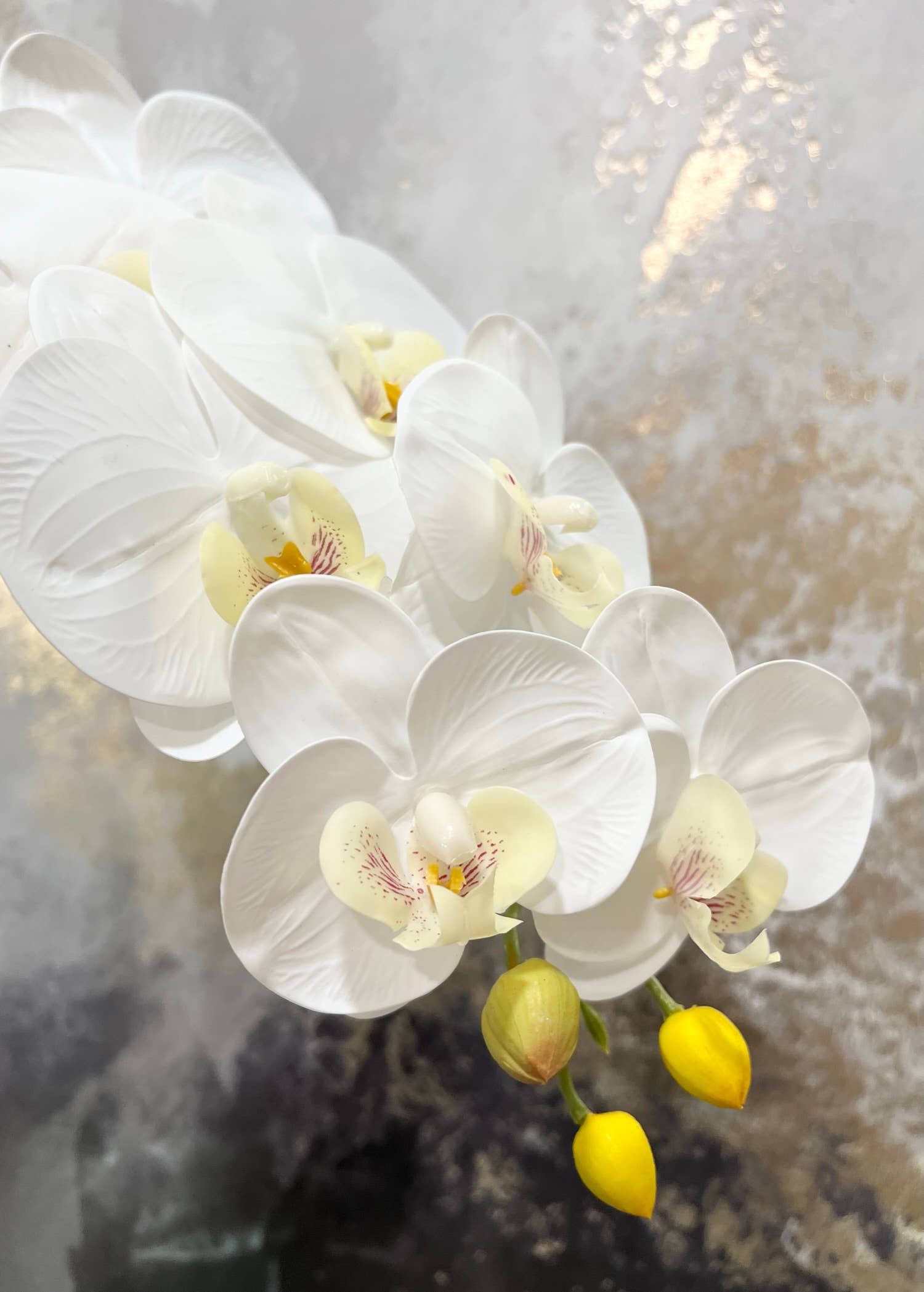Angel Isabella - Wholesale Artificial Flowers - 36" Real touch Large bloom Phalaenopsis Orchid-9 Flowers0