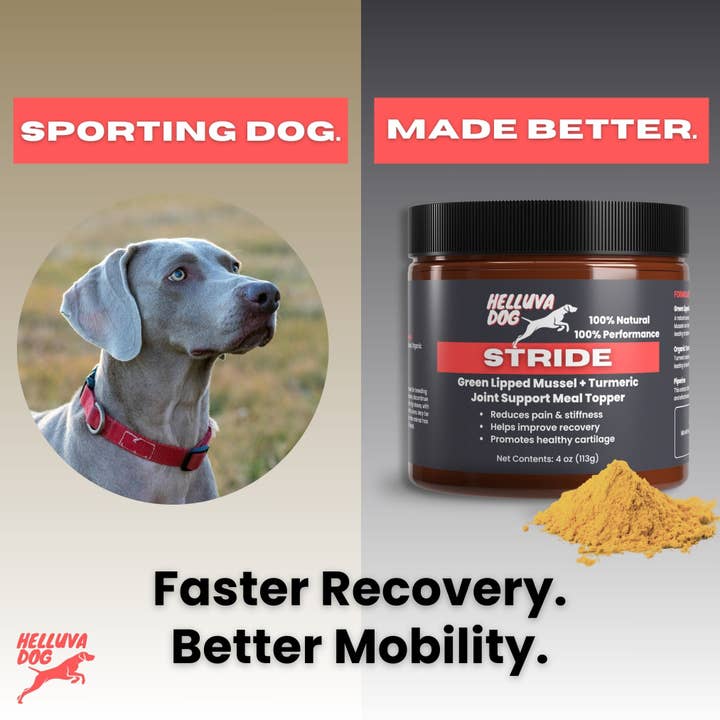 Homescape Pets - Wholesale Pet Supplement - Dog - STRIDE