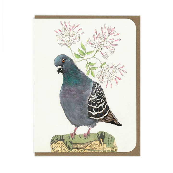 Pigeon Bird and Jasmine Flowers - Blank Card for wholesale by Amy Rose Moore Illustration