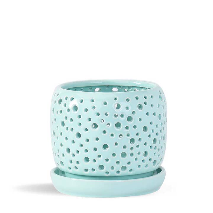 Rain Drop Orchid Planter, Pastel Light Green for wholesale by Pacific Home & Garden