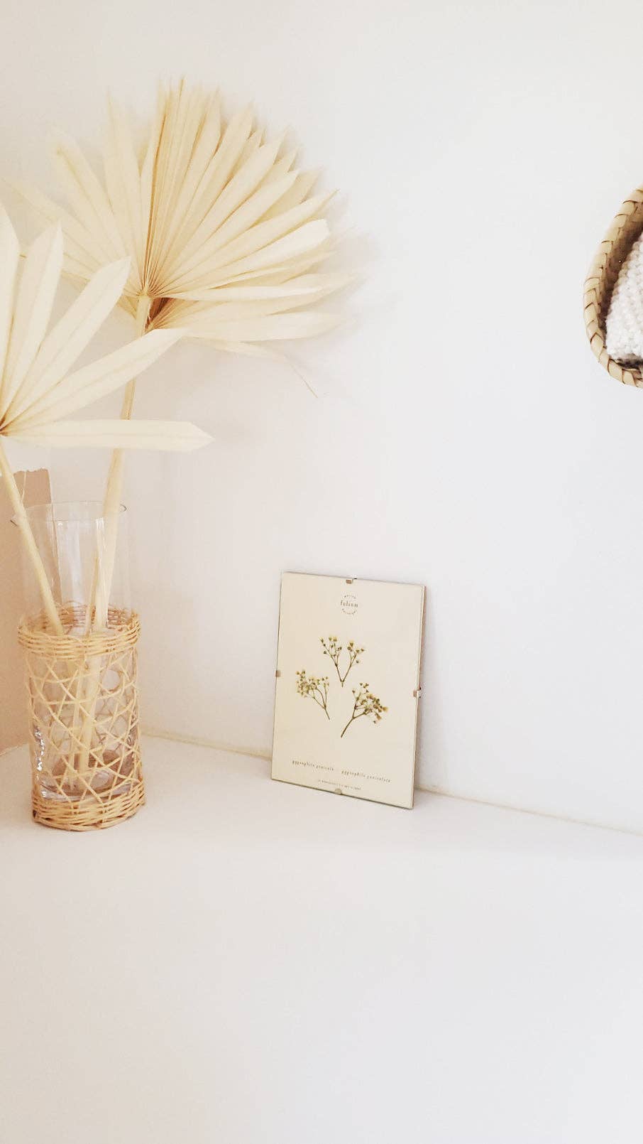 Folium - Maison Botanique - Wholesale Dried/Pressed Flowers - No. 17 · The Gypsophila5