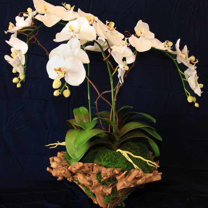 Forever Green Art - Wholesale Artificial flowers - Large Orchid Branchy Bowl
