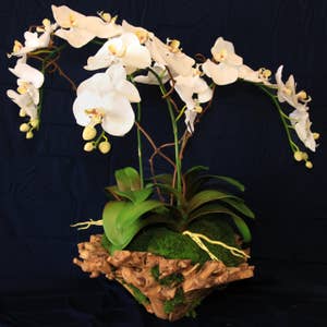 DIY Orchid Dough Bowl Centerpiece - Petite Haus  Orchid flower  arrangements, Orchids, Diy orchids