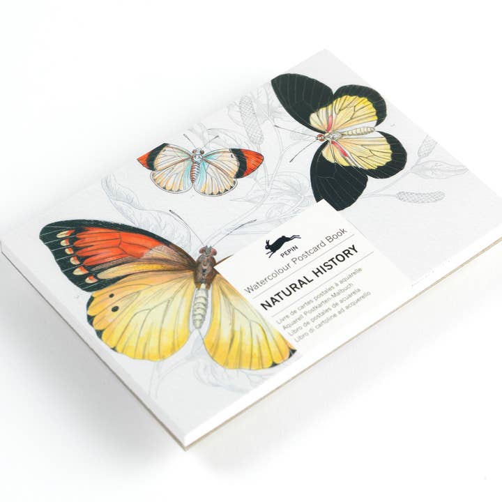 Natural History Watercolour Postcard Book for wholesale by Pepin Press
