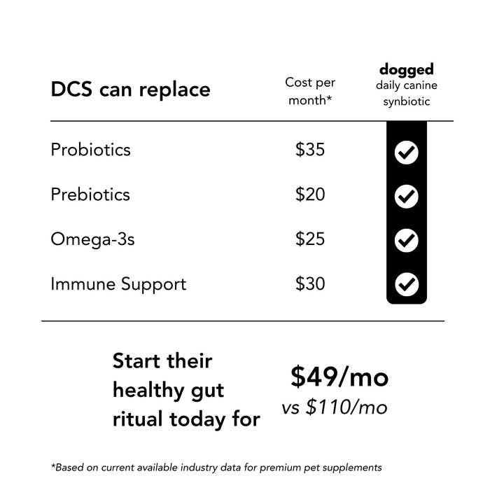 dogged - Wholesale Pet supplement – Dog - DCS: daily canine synbiotic2