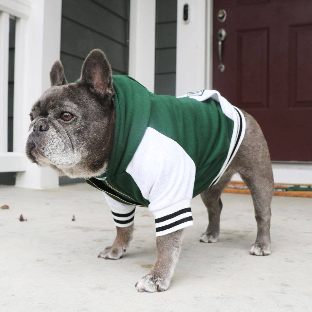 Frenchie - Wholesale Pet Hoodie - Dog - Frenchie Dog Hoodie - Emerald City Varsity3