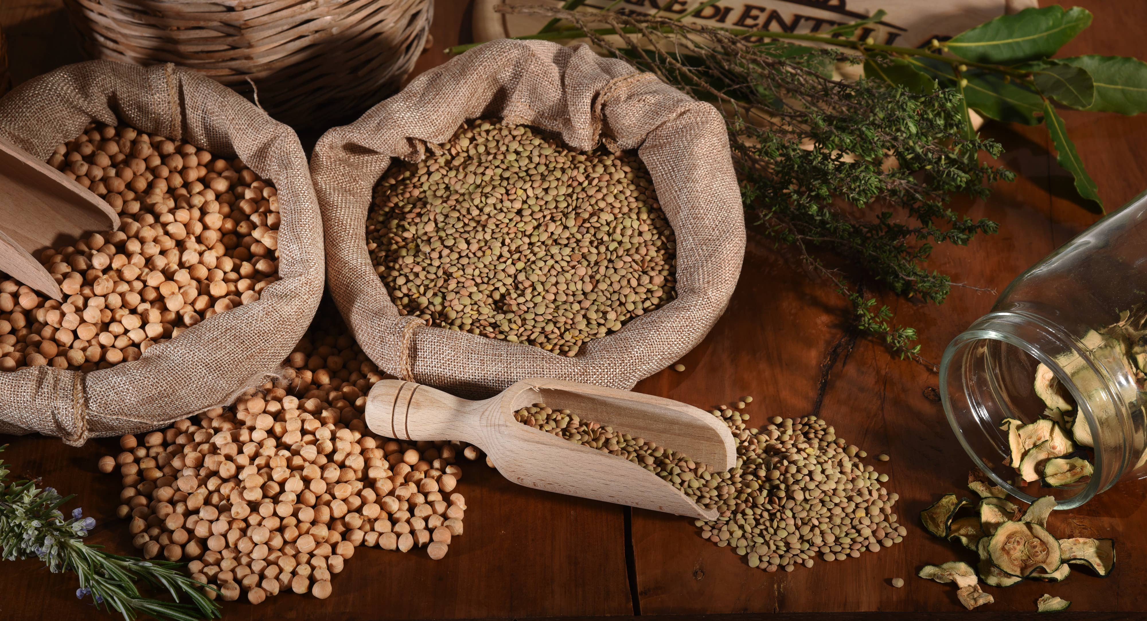 TERRE DI ENTELLA - Azienda Agricola Biologica - Wholesale Beans - Sicilian organic small lentils3