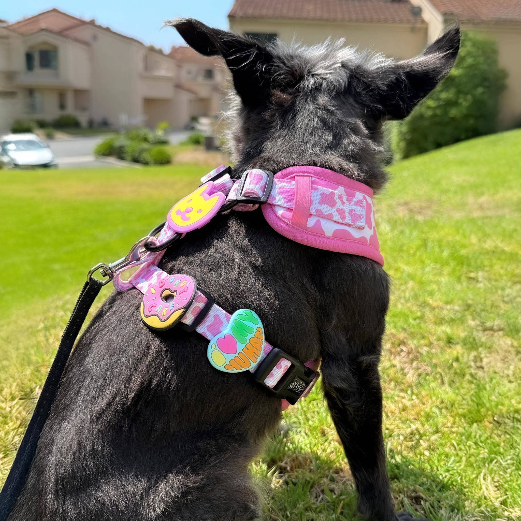 Jiby Dog Crew - Wholesale Pet Collar Charm - Cat/Dog - I Love My Human Jiby Dog Charm1