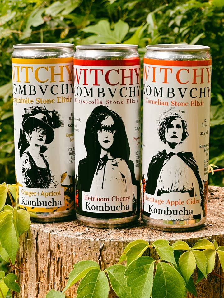 Sampler Case 1- Apple Cider, Ginger-Apricot, Cherry for wholesale by Witchy Kombvchy