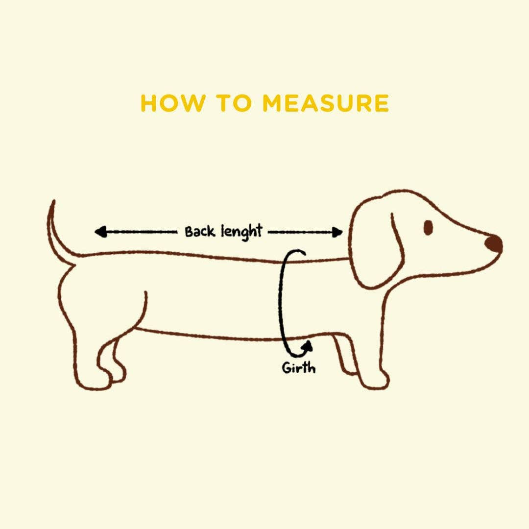 Sunbean - Wholesale Pet Sweater - Dog - Roll Neck Dog Knitted Love Sweater12