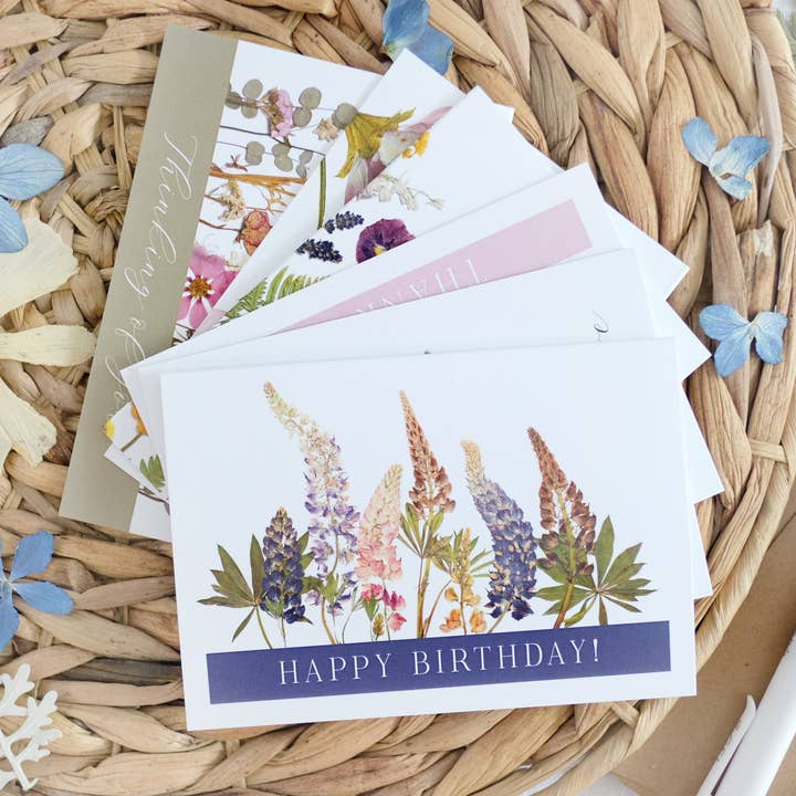 Pack Misto, Celebração & Saudação, Conjunto de Cartões de Nota por atacado de Seek & Bloom Creative Co.