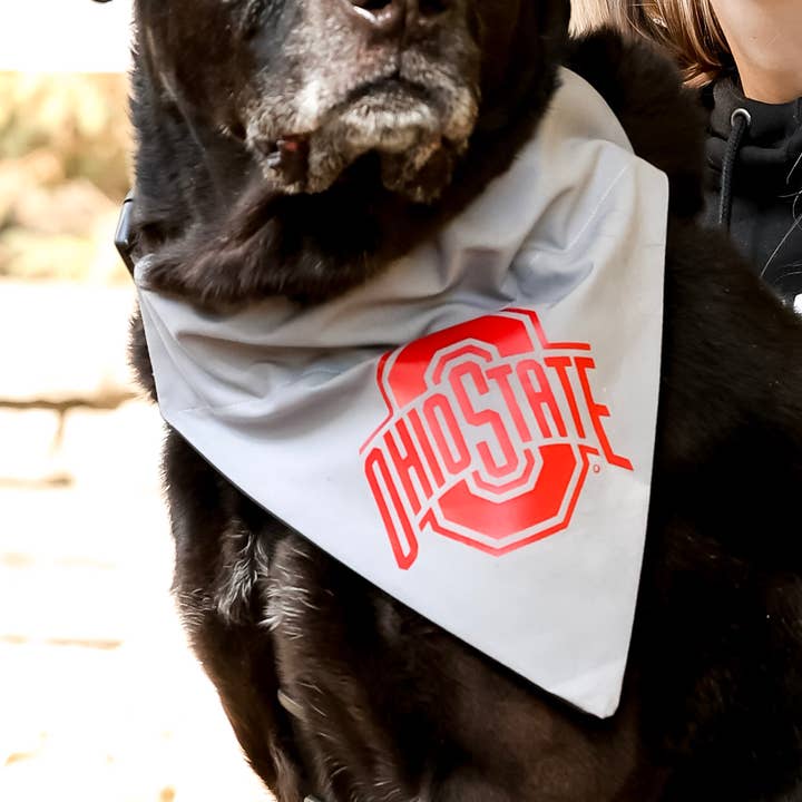 Ohio State Hundehalstuch, das über das Halsband gleitet für den Großhandel von Top Rocks Doggie Wear