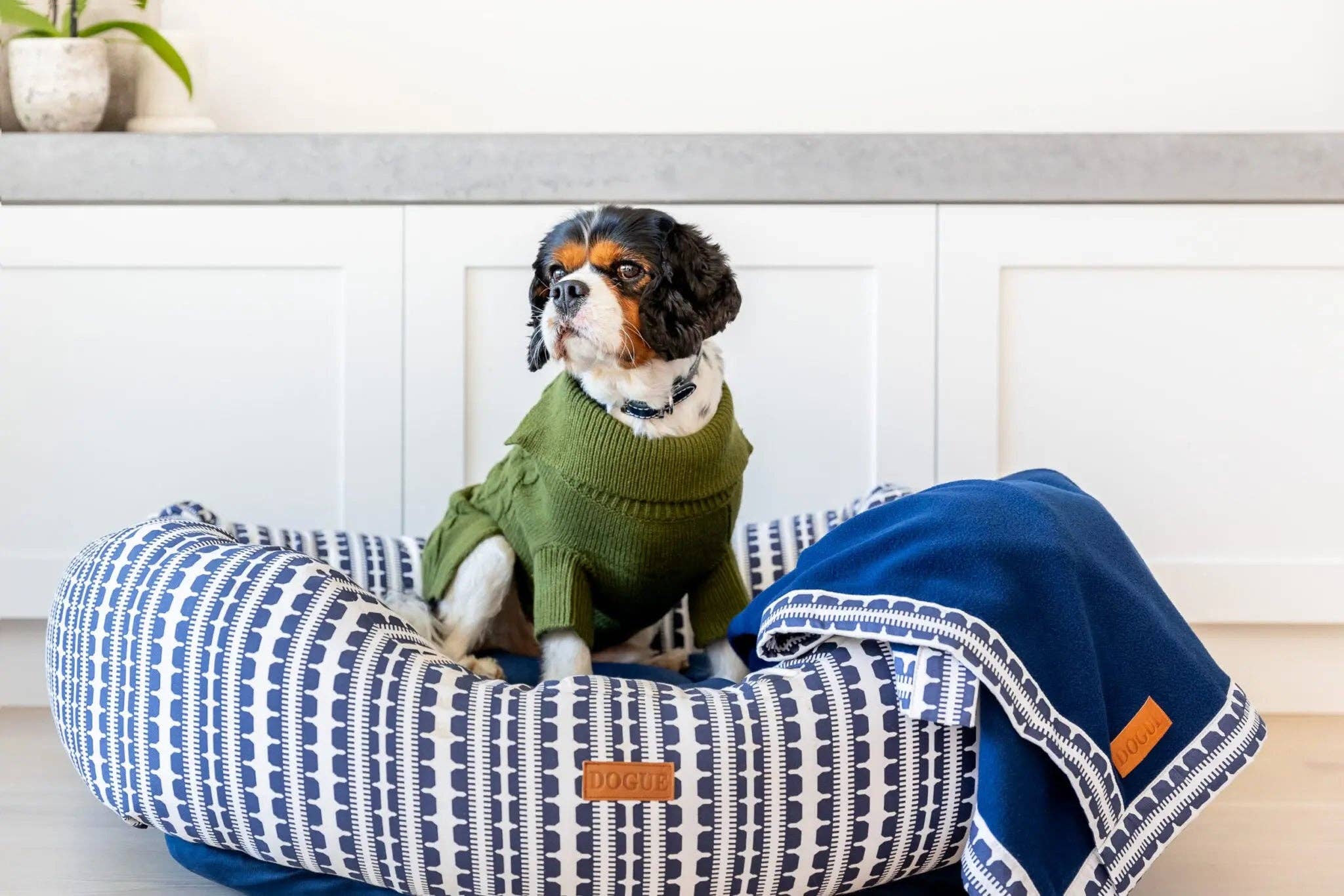 DOGUE - Wholesale Pet Sweater - Dog - DOGUE Classic Cardi Knit Dog Jumper10