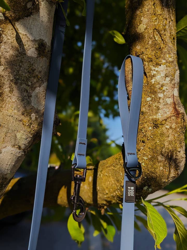 Laisse imperméable Blueberry pour la vente par woof and stuff