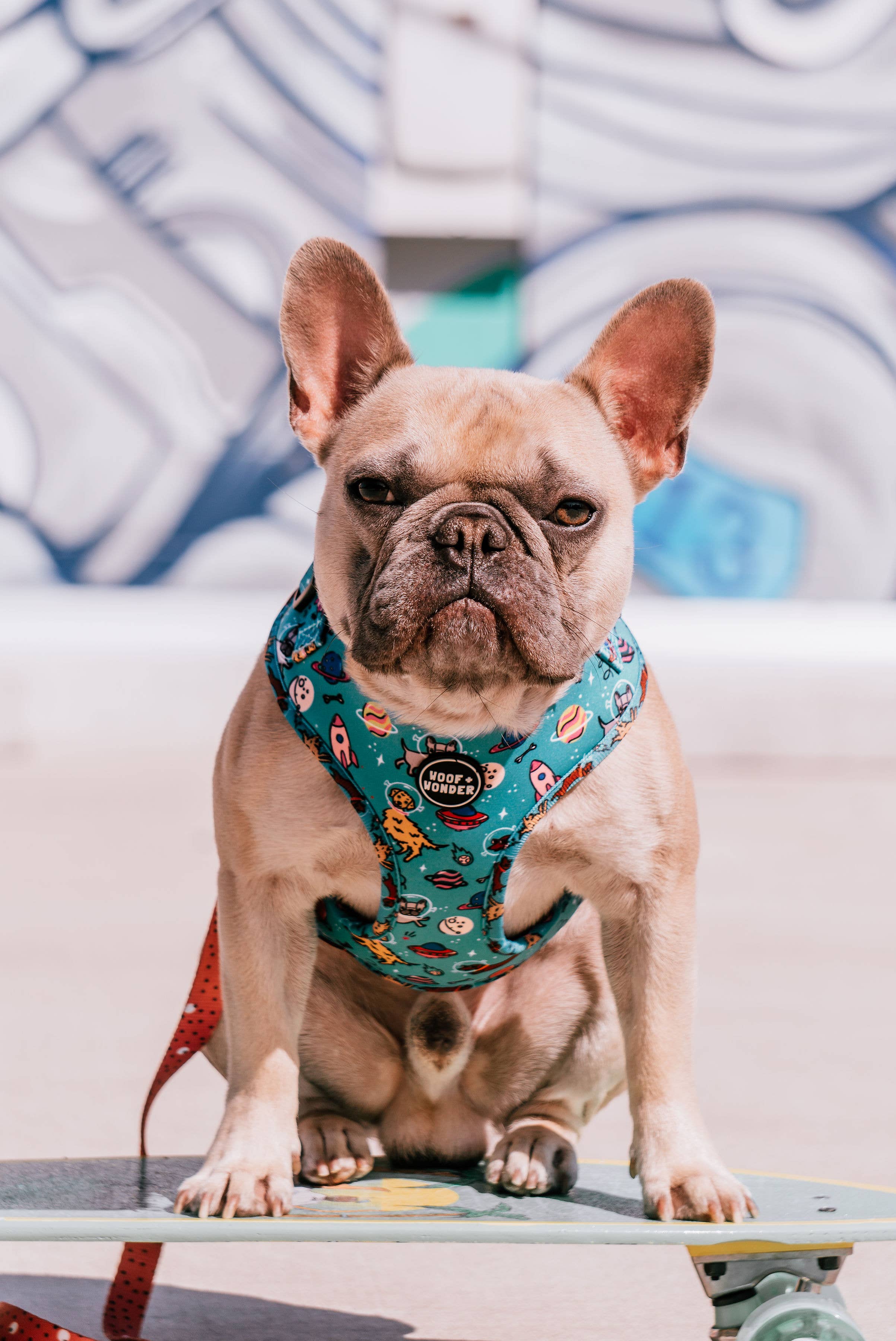 Woof & Wonder - Wholesale Pet Harness - Dog - Blue Dogs in Outer Space Adjustable Dog Harness2