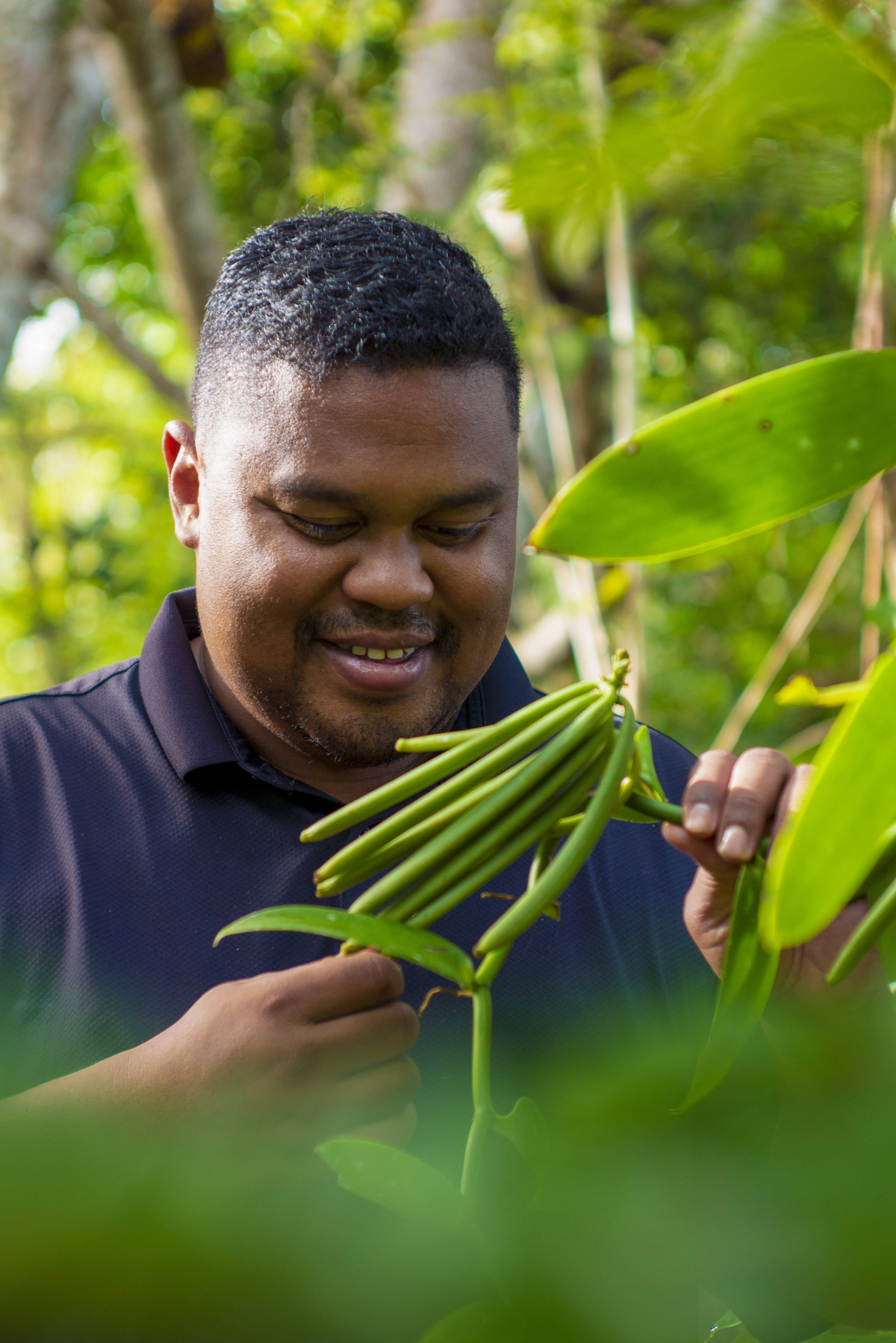 LABORATOIRE VEGETAL - Vendita all'ingrosso Estratti di frutta/alla vaniglia - Estratto di vaniglia del Madagascar professionale 30%2