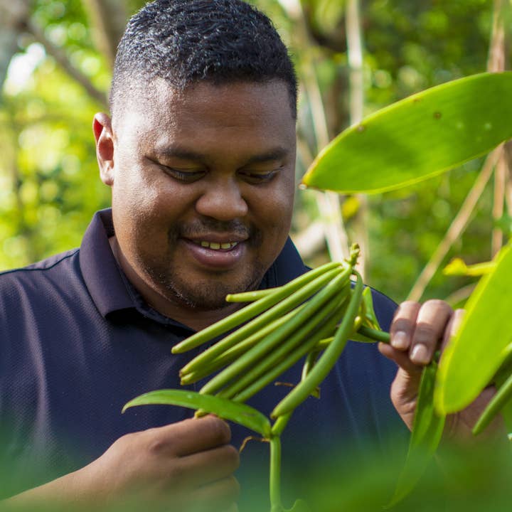 LABORATOIRE VEGETAL - Wholesale Vanilla/Fruit Extract - Madagascar Vanilla Extract for Professional 30%2