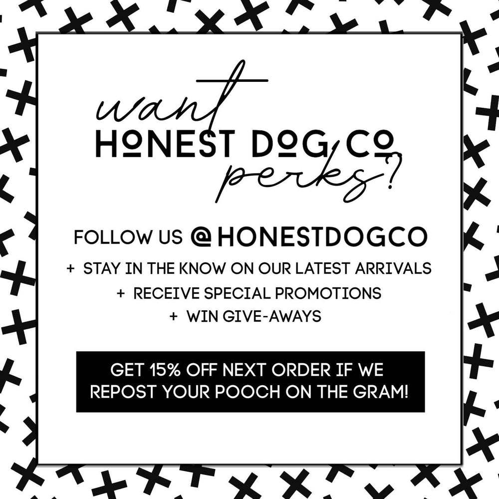 The Honest Dog Company – Engroshandel Trøje - Hund – Kinda Classy Kinda Hood Hund Shirt5