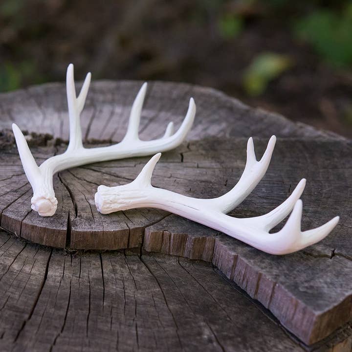 Weddingstar Inc. - Wholesale Decorative Tabletop Object - Miniature Faux Antler Stationery Card Holders (6)1