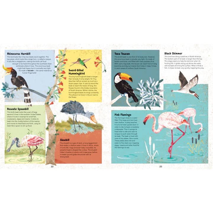 Barefoot Books - Wholesale Reference Book - Barefoot Books Incredible Animals3