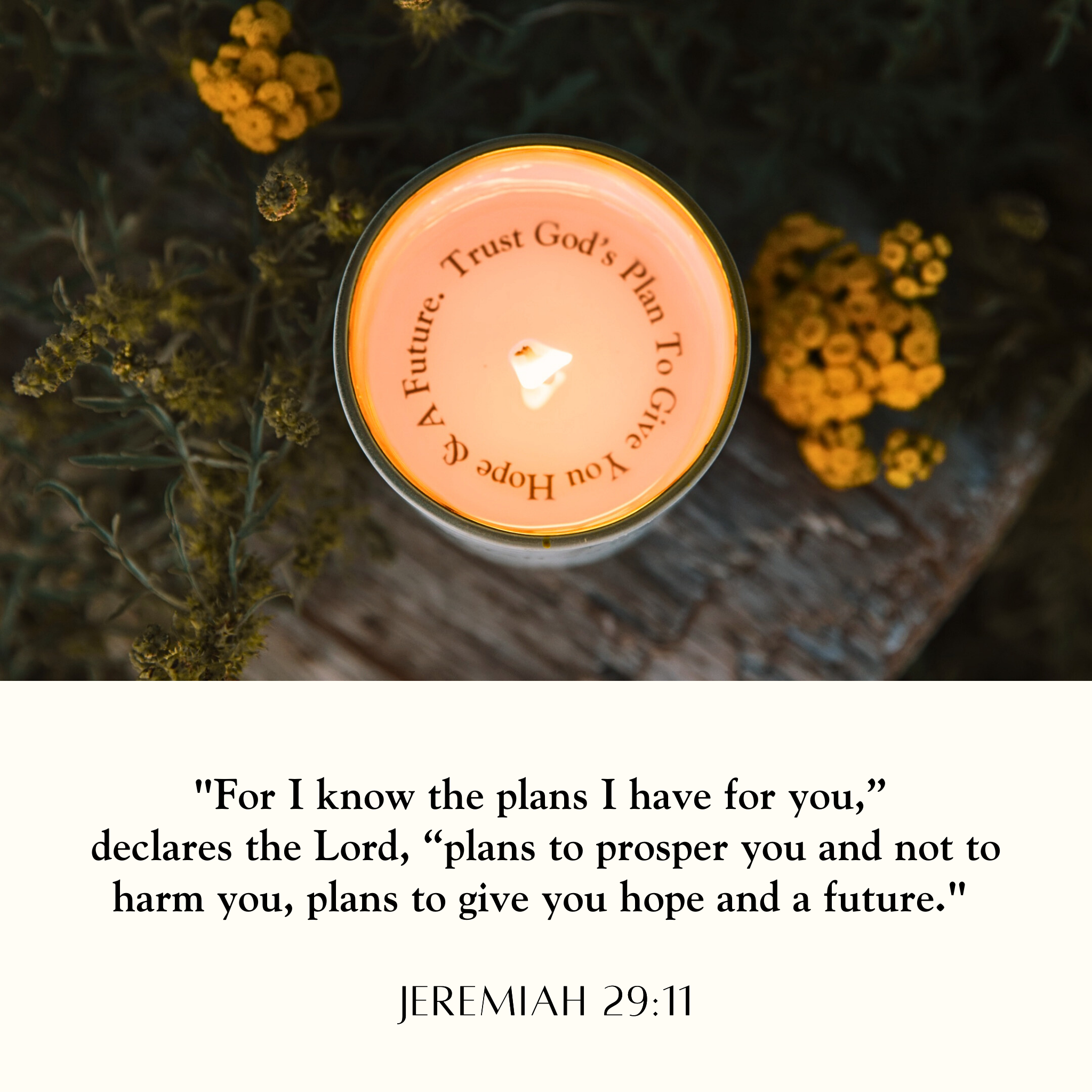 Revelation Candle - Wholesale Jar/Filled Candle - NEW! "Trust God's Plan" Jeremiah 29:11 Revelation Candle1