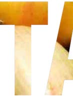 B- Organic - Vegetarian - Medium - 12" x 14" for wholesale by B-Organic