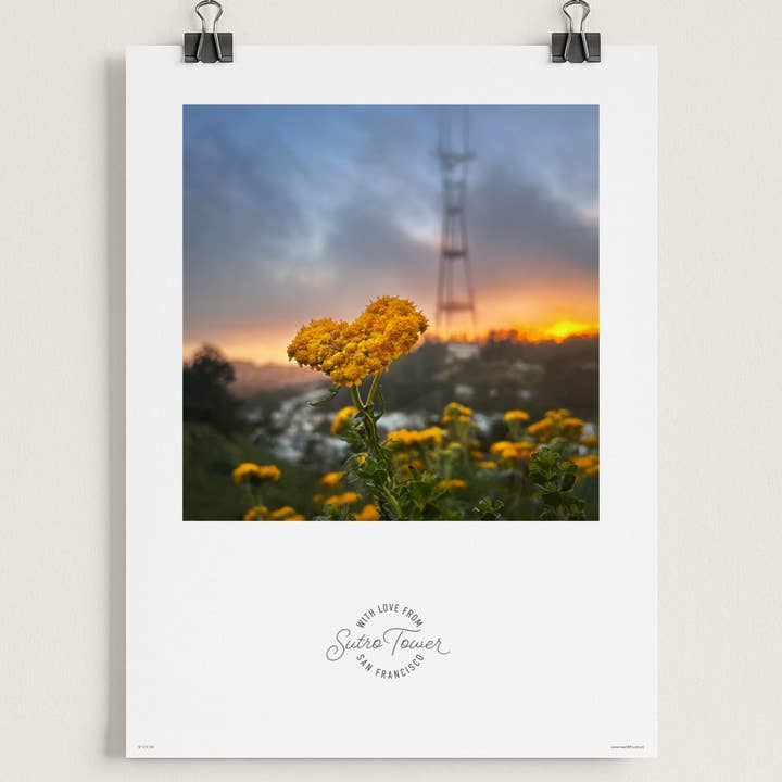 12"x18" Print of Golden Yarrow in front of Sutro Tower for wholesale by HeartSFound
