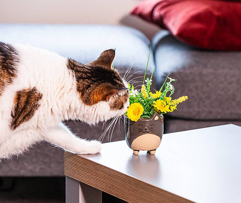 Abbott - Wholesale Plant Pot - Sm Cat on Legs Planter-3" H7