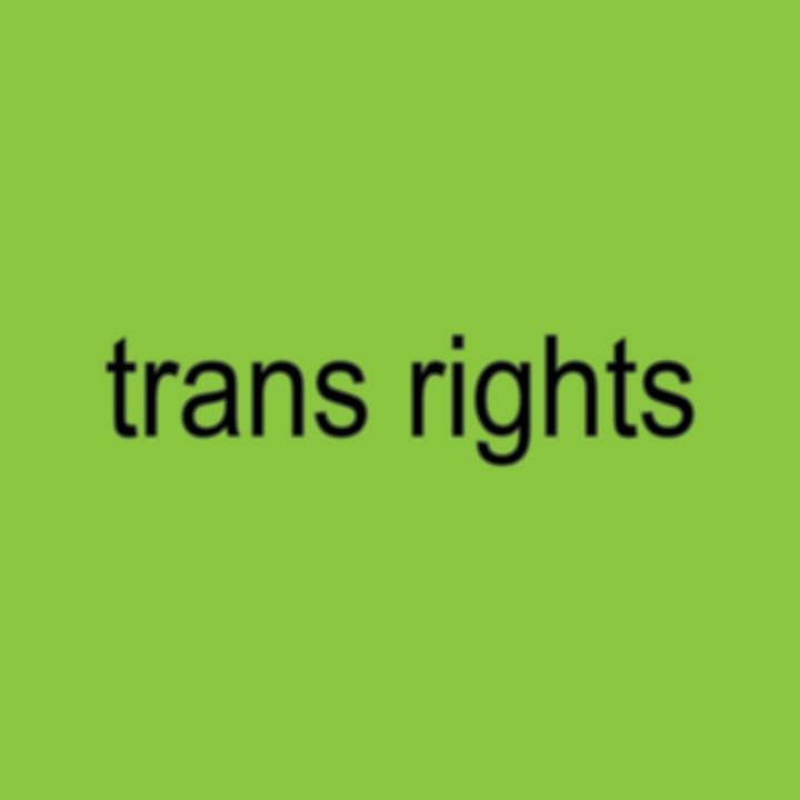 Transfigure Print Co. - Wholesale Sticker - Trans Rights BRAT Charli XCX Sticker