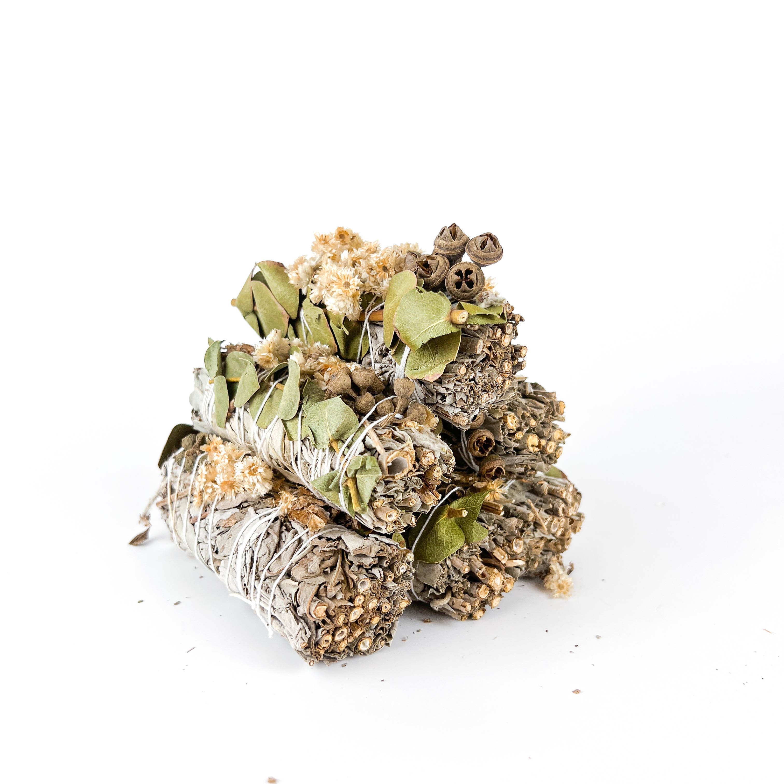 GREENROOTS USA LLC - Wholesale Sage Bundle - White Sage, Lavender & Eucalyptus Dollar Sage 4"13