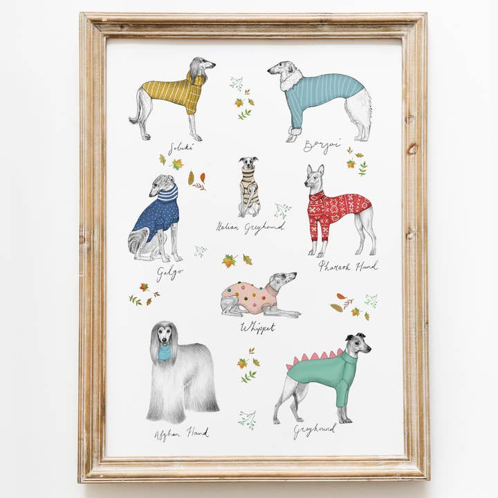 Sighthounds in Sweaters Print | Italian Greyhound Dog Art for wholesale by Beth Goodwin Designs