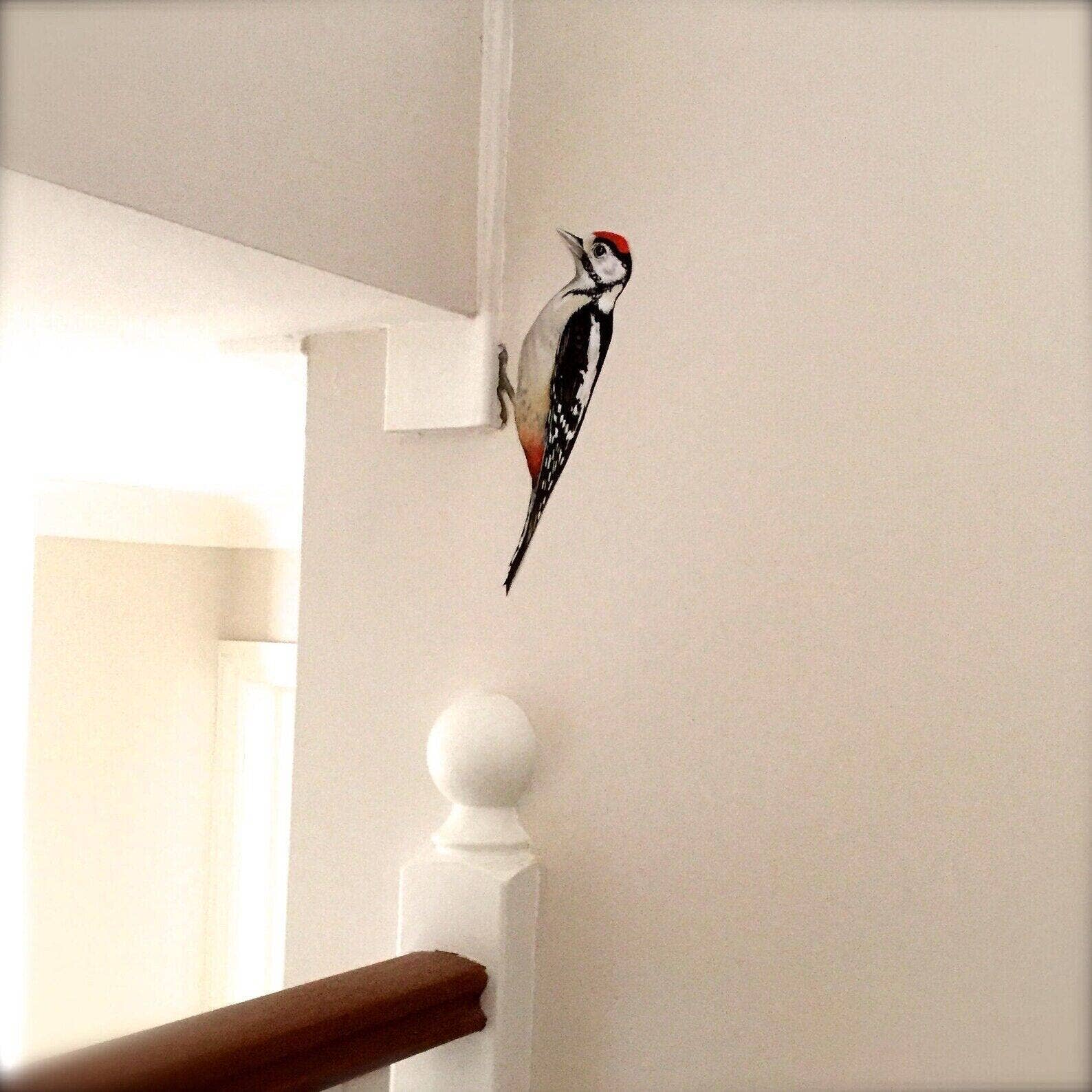 Wonderwallsboutique – wholesale Wall decal/stickers – Whimsical Woodpecker Wall Sticker with Peel and Stick Tech2