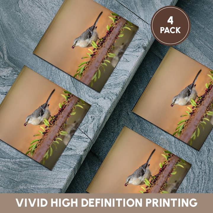 3dRose - Wholesale Coasters - 3dRose, Northern mockingbird, Mimus polyglottos feeding., Coaster5