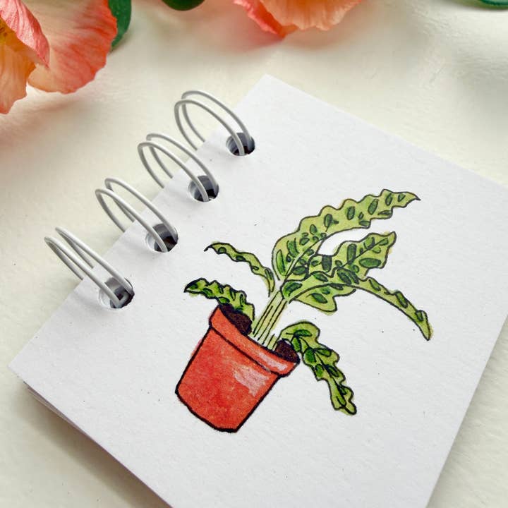 D. Prince Designs - Wholesale Notebook - Hand-Illustrated + Handmade Mini Notebook/Sketchbook | Calathea Houseplant1