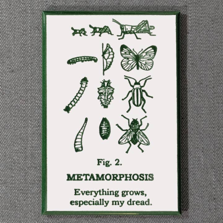 La mia paura cresce | Umorismo esistenzialista | Calamita per amanti degli insetti per la vendita all'ingrosso da parte di Rx Letterpress