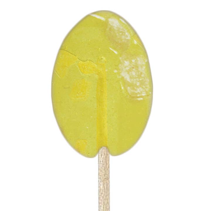Melville Candy Company - Wholesale Honey - Ginger Lemon Honey Spoons