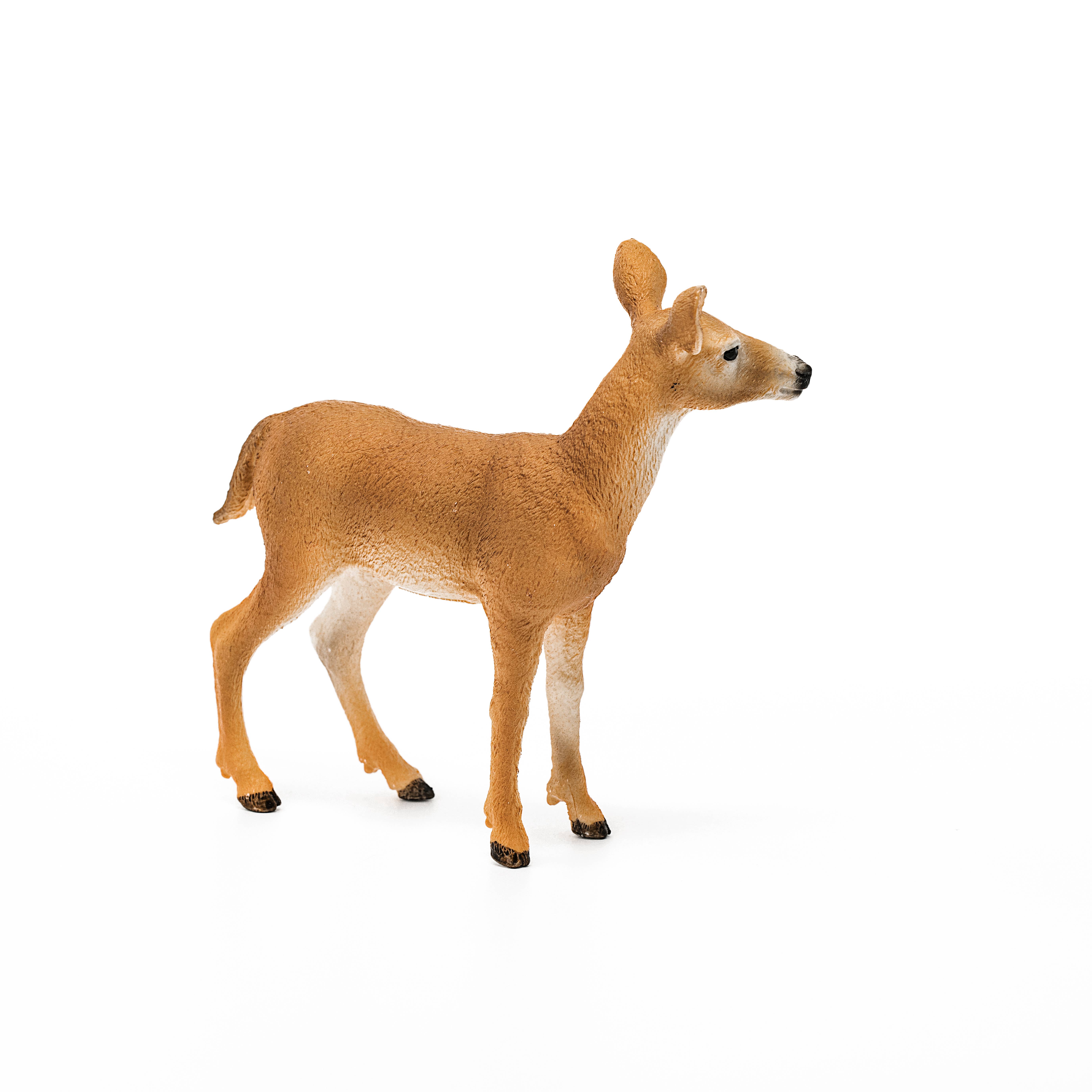Schleich - Wholesale Figurine Toy - Kids - White-Tailed Doe Forest Animal Toy3