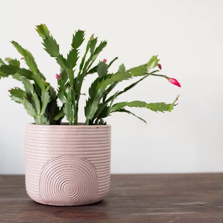 Made by Kippen - Wholesale Plant Pot - Scandi Style Planter-Now in 3 sizes!!2